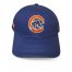 Budweiser Chicago Cubs MLB Bear Hat